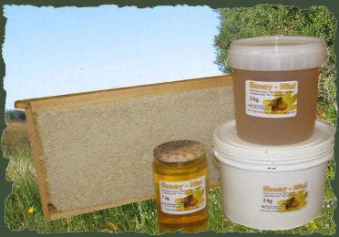 Pure Canadian Wildflower Organic Honey